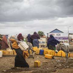 Climate adaptation helps African nations tackle rising conflict over resources