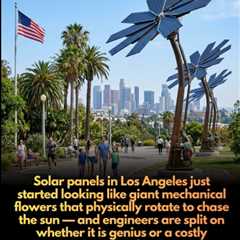 Solar Flowers
