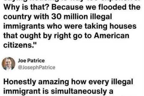 American Stupidity