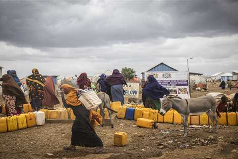 Climate adaptation helps African nations tackle rising conflict over resources