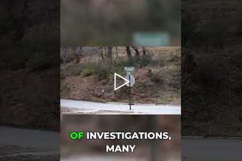 What's Really Going On in Asheville? The Truth Revealed #asheville #shorts