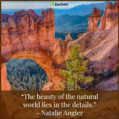 Earth911 Inspiration: The Beauty of the Natural World