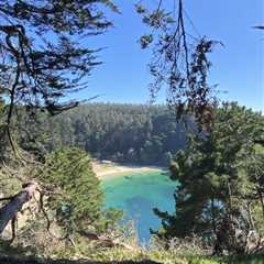 Meet Team Chile: Science, Sea Lions and the South American Winter